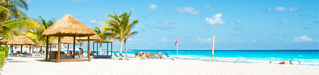 Путешествия раста-кокосика