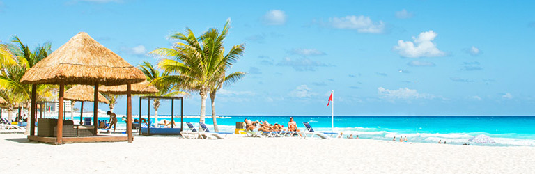 Путешествия раста-кокосика